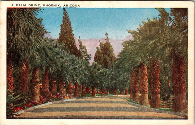 Phoenix AZ-Arizona, A Palm Drive Vintage Postcard