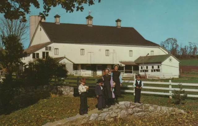 Heart Of Amishland Amish Children Hex Sign Barn PA  Vintage Chrome Post Card