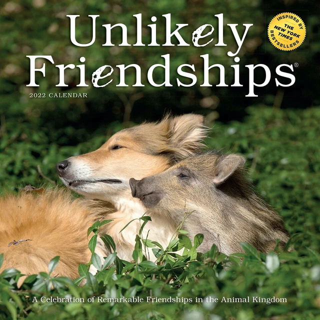 WORKMAN UNLIKELY FRIENDSHIPS Wall Calendar 2022 w 3.75 PicClick
