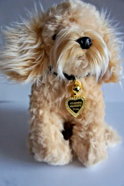 Cuddly Toy Poodle Labradoodle Cockapoo Shih Tzu Plush Toy Dog & Personalised Tag