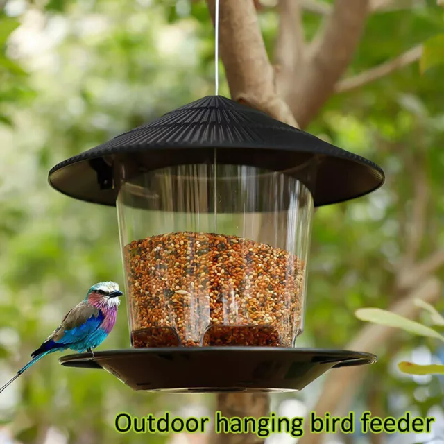 Hanging Lantern Bird Seed & Nut Feeder Wild Bird Plastic Feeder Dark Grey New