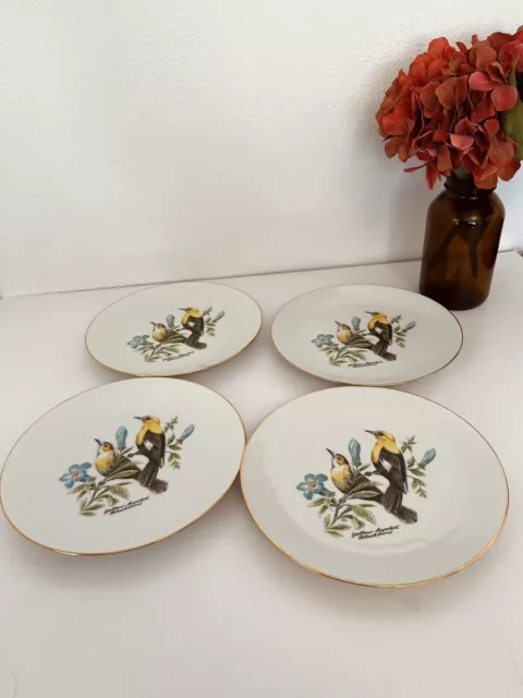 Bareuther Waldsassen Bavaria-Germany 132 Porcelain Plates Set Of 4. 8” MINT