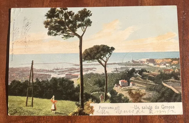 CPA AK Genova Gênes Liguria Panorama 1906 cartolina carte postale