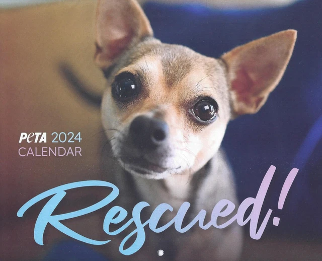 PETA 2024 RESCUED! Calendar Charity Includes Desktop or Mobile
