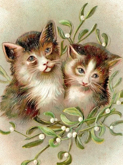 c1907 Christmas Kittens, Mistletoe, Vtg Postcard, embossed, Yuletide, Nunda, NY