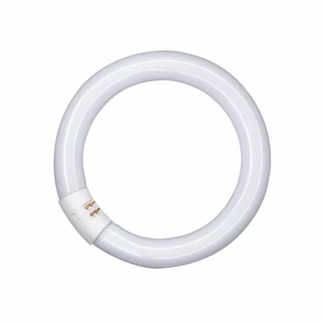 Osram Fluorescent Lamp T9 L Ring Shape Lumilux round Pipe Tube Light G10q