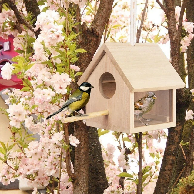 Nichoir En Bois Pour Oiseaux - 20x20x20 Cm, Avec Perchoir Et Support - Pour Perruches, Colibris, Jardin Ou Balcon