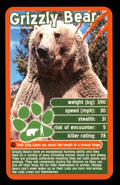 1 x info card deadliest predator Grizzly Bear - R114
