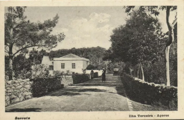 PC AZORES / PORTUGAL, ILHA TERCEIRA, SERRETA, Vintage Postcard (B41246)
