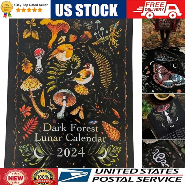 DARK FOREST LUNAR Calendar 2025 Wall Calendar Monthly Colorful Wall