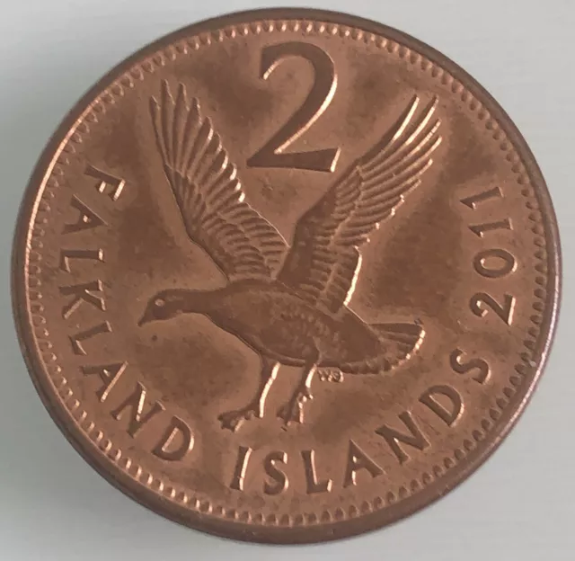 2011 Falkland Islands 2p Two Pence Coin - Upland Goose