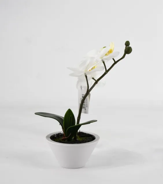 Phalaenopsis Orchidea Artificiale 22Cm Bianca Fiori Piante Artificiali