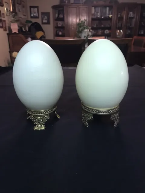 Cáscaras de huevo de avestruz sopladas con soportes de latón