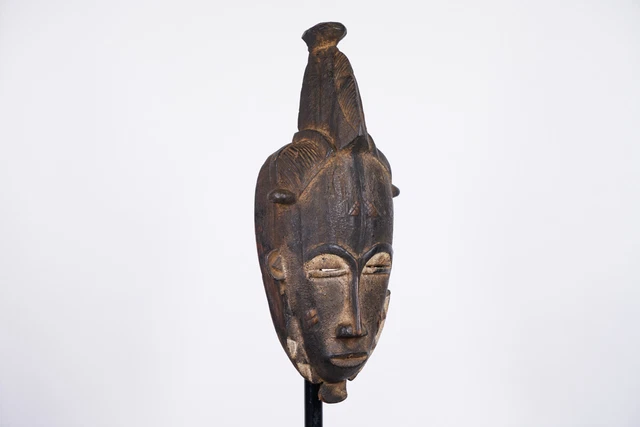 Attractive Baule Mask 17" - Ivory Coast - African Art 2