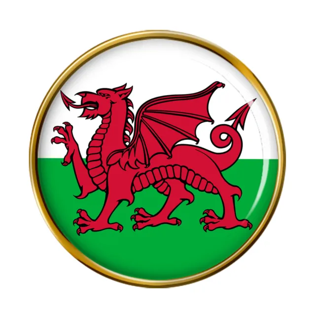 Distintivo spilla Cymru Galles