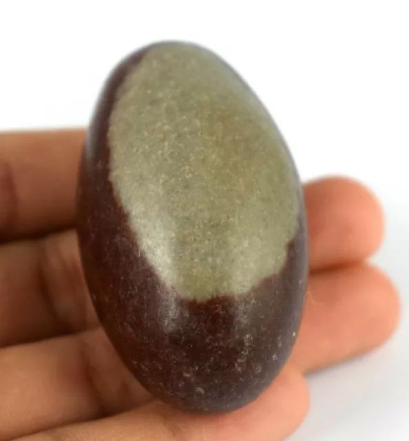 Shiva Lingam Blessing Stone 59.75 Gram/2 Inch Natural Realistic Crystal Healing