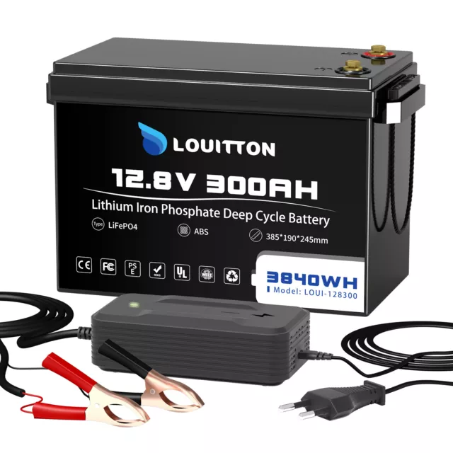 12V LiFePO4 Akku 100Ah 180Ah 200Ah 300Ah Lithium Batterie für Solar Wohnmobil RV