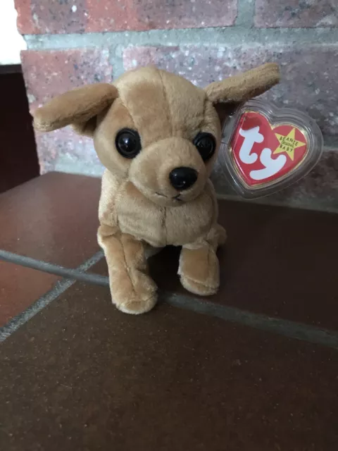 Ty Beanie Babies Tiny The Chihuahua With Tag In Plastic Protector
