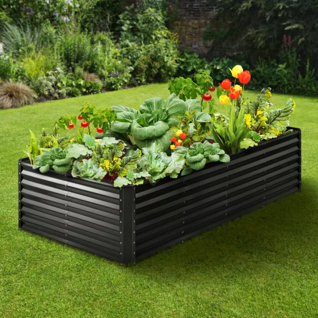 VEVOR Jardinière Lit de Jardin Surélevé Potager Métal Galvanisé 240x120x60 cm