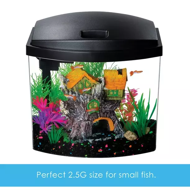 (USA) Aquatic Starter Kit Fish Tank Aquarium, Clear Acrylic, 2.5 Gallons 2
