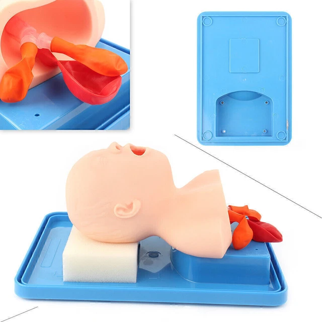 1x Intubation Manikin Study Teaching Model Baby Infant Airway Management Trainer