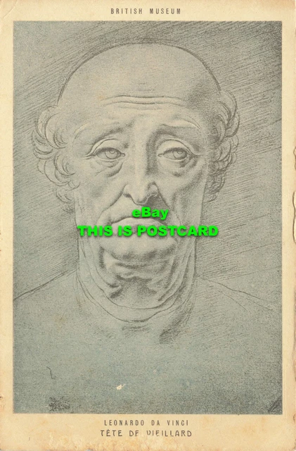 R604583 British Museum. Tete de Vieillard. Braun. Leonardo da Vinci