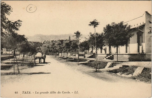 CPA AK TAZA - La grande Allée du Cercle MAROC (669605)