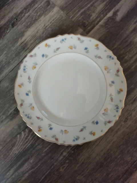 Vintage Syracuse China Federal Shape SUZANNE 10" Dinner Plate