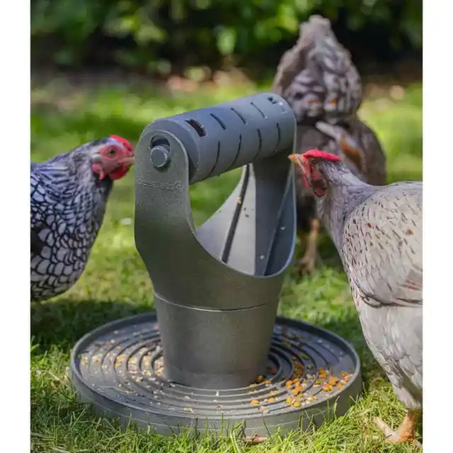 Poultry & Waterfowl, Pet Supplies - PicClick UK