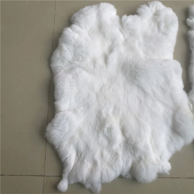1x White Rex Rabbit Skin Pelt Real Animal Fur Craft Leather Rugs Home Decor 1x White Rex Rabbit Skin Pelt Real Animal Fur Craft Leather Rugs Home Decor