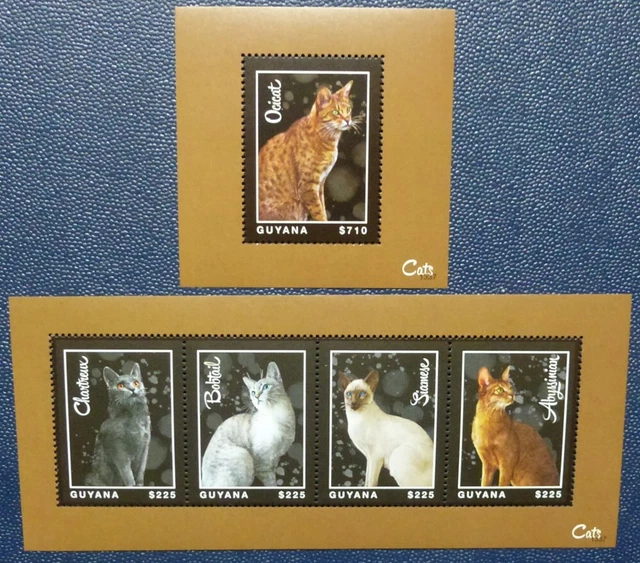 Guyana 2013 Katzen Cats Pets Haustiere 8703-8710 Block 891 MNH