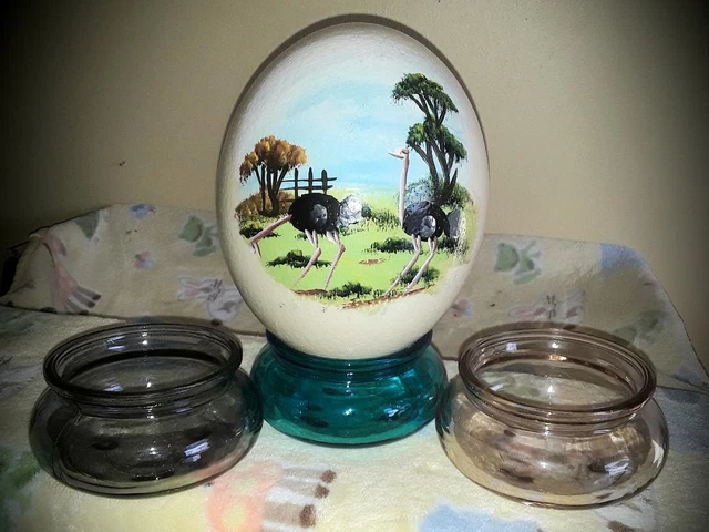 Soporte Para Huevos De Avestruz - ¡Mira Las Variaciones De Color!