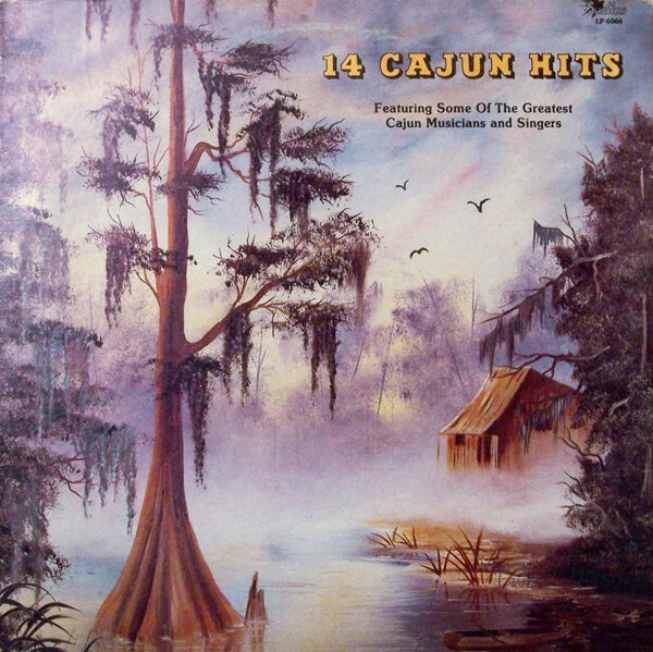 Various - 14 Cajun Hits - Used Vinyl Record - L6035A