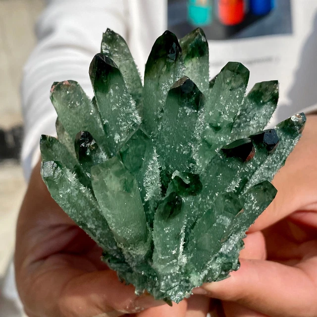 279G New Find Green Phantom Quartz Crystal Cluster Mineral Specimen Healing 16