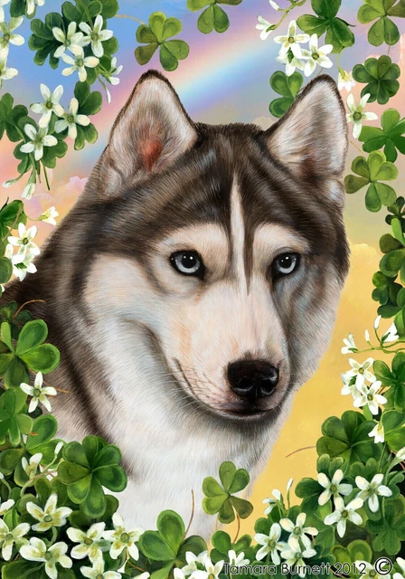 Clover Garden Flag - Blue-Eyed Grey and White Siberian Husky 314351