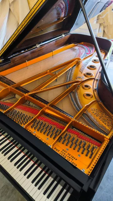 Steinway Model C 7ft 4 Performance Piano in Mirror Black by Steinway Specialists