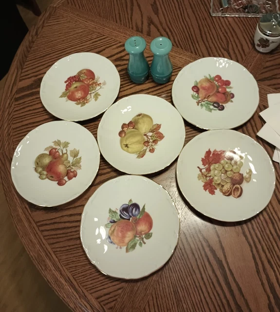 6 Bareuther Waldsassen Bavaria Germany MCM 7.75" Fruit Theme Lunch Plates Set #1