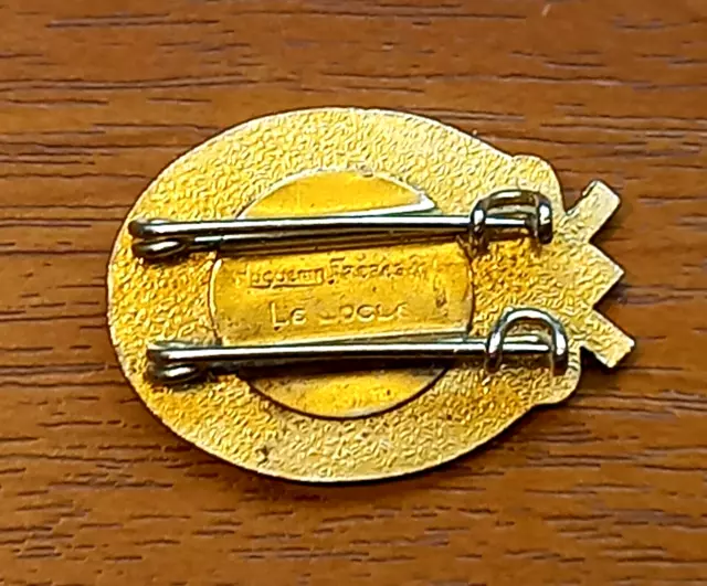 Vintage Honor Swiss Alpine Club SAC CAS Enamel Badge 1989. 2
