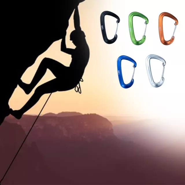 Small Carabiner Snap Clip Hook D-Ring Key Chain Clip Climbing Hiking Camping NEW