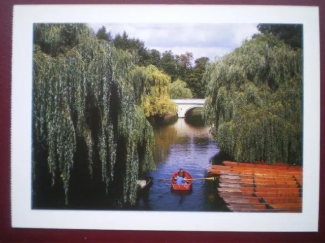 Postcard Cambridgeshire Great View Along The River Cam - Cambridge