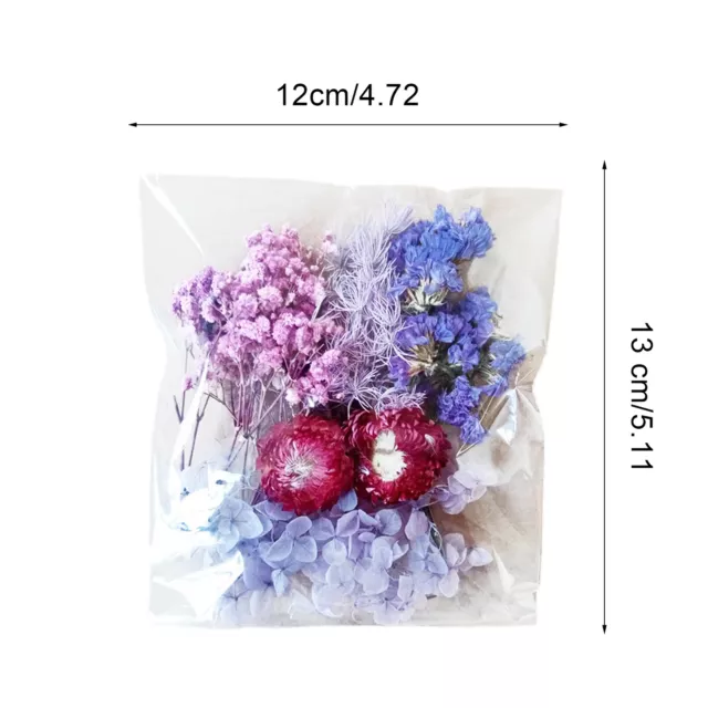 Trockenblumen-Set, natürliches DIY-Epoxidharz, Kerzen, Blumenmaterialien, Blume 3