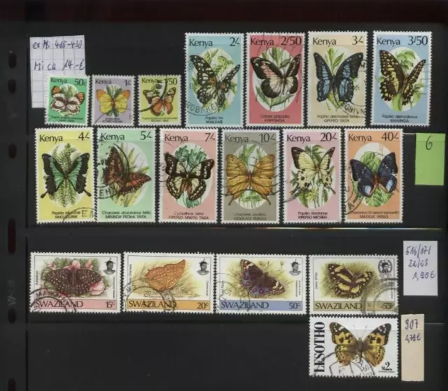 Faszination Afrika  Schmetterlinge schöne Auswahl,  Lot 6,  18 Stück,  Top