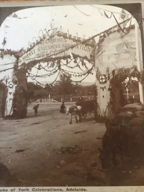 Old GEORGE ROSE STEREOVIEW PHOTO- DUKE Adelaide East Terrace 1901 Social History