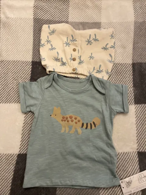 BNWT M&S Baby Green Blue Fox T-Shirt & Almond Palm Tree Short Set - 3-6 Month