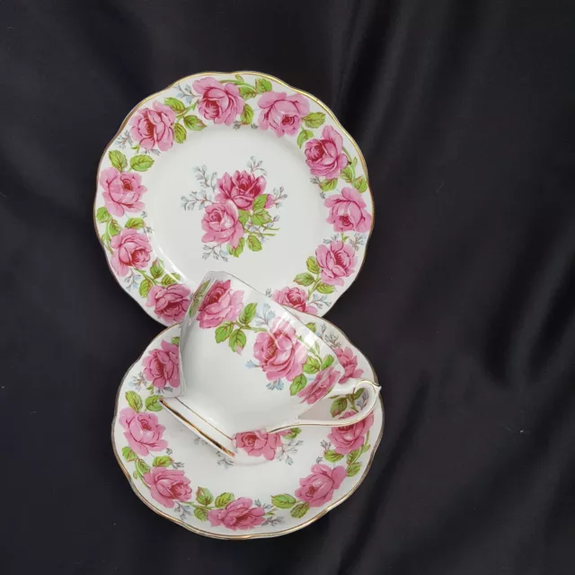 Vintage Royal Doulton Porcelain Raby Rose Tea Trio Cup Plate And Saucer