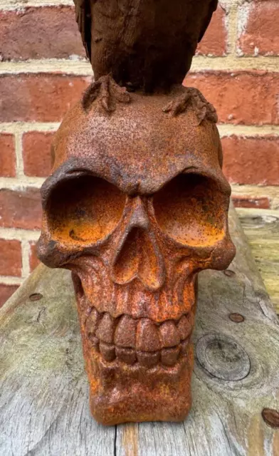 Cast Iron Skull with Raven Bird sat atop - Indoor / Outdoor - Rust Finish - 2kg 3