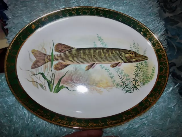 Vintage Weatherby Hanley Large Oval Gilded Wall Plate 12" X 9.25" Bold Pike