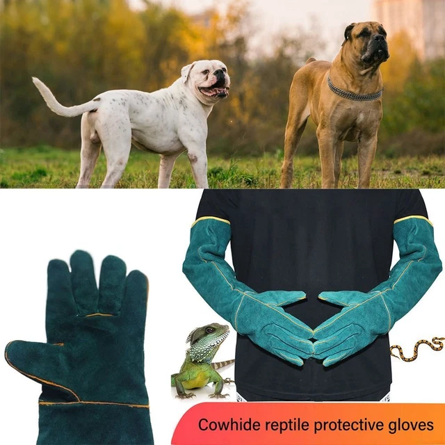 Guanti Antimorso Verdi 60cm Guanti Protettivi Cane/Gatto/Rettile