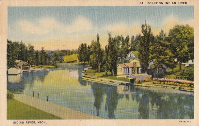Postcard Scene on Indian River Indian River Michigan MI