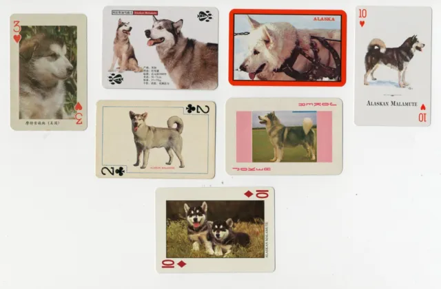 Alaskan Malamute Sledge Dog Vintage Collectable Single Playing Cards  Not A Pack